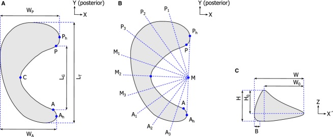 Fig. 1