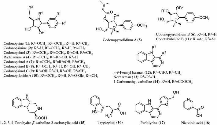 Fig. 1