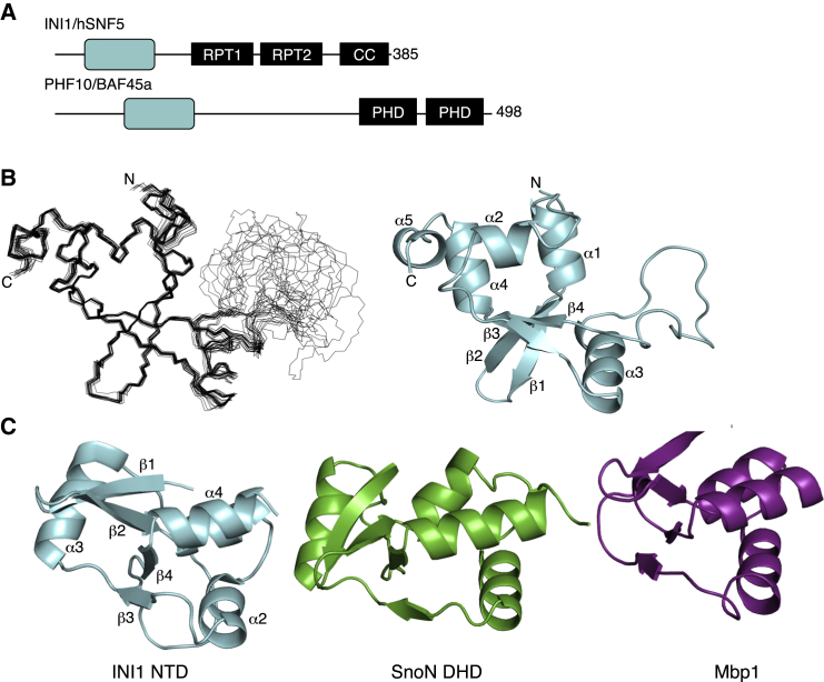 Figure 1