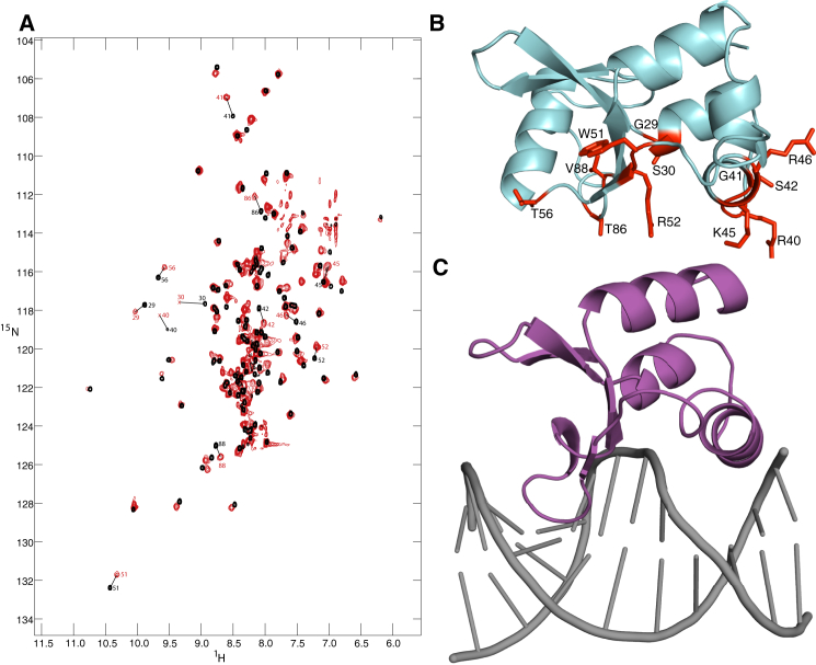 Figure 3