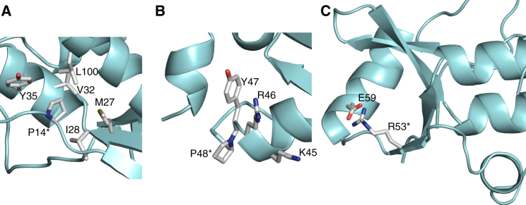 Figure 4