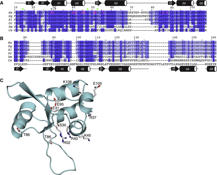 Figure 2