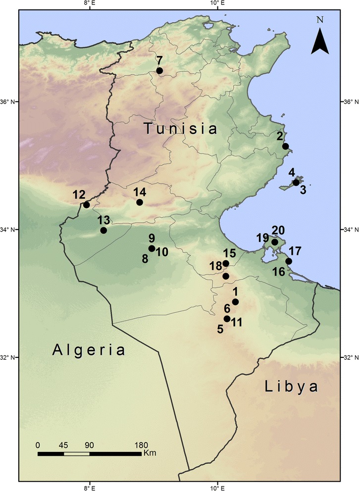 Fig. 1