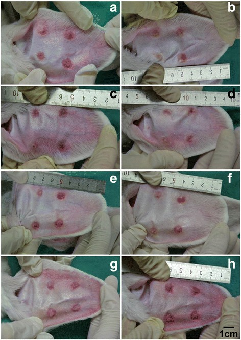 Fig. 6