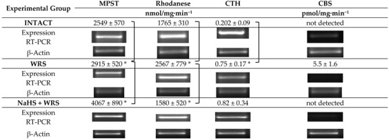 graphic file with name molecules-22-00530-i001.jpg