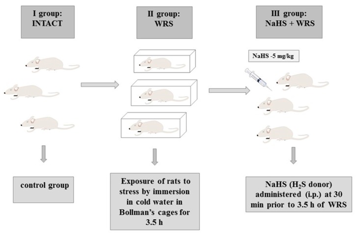 Scheme 2