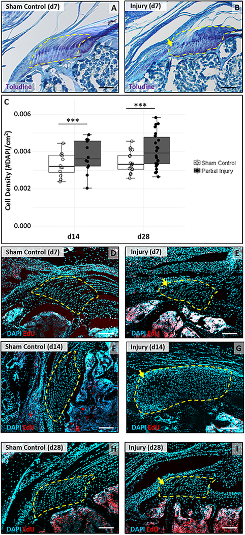 Figure 3: