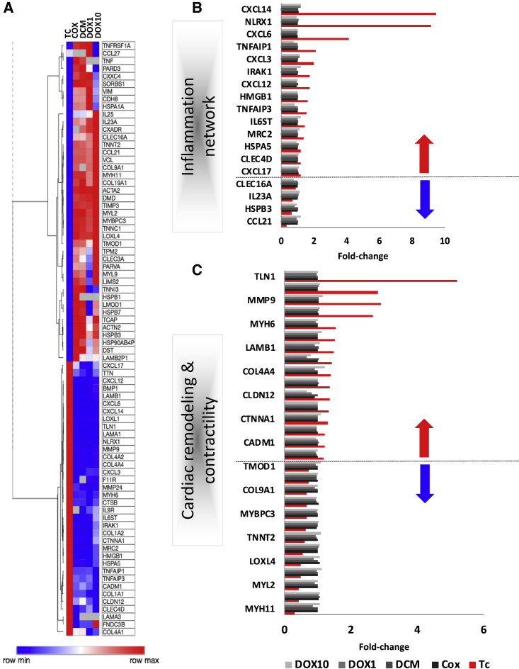 Figure 4