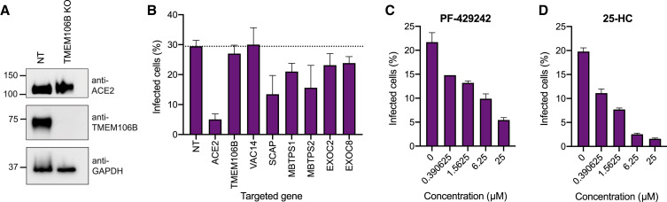 Figure 5