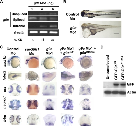 FIGURE 6.