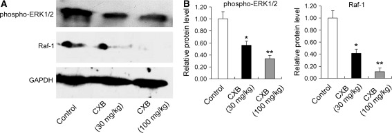 Fig. 8