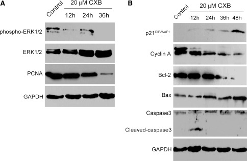 Fig. 6