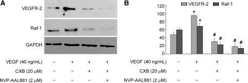 Fig. 7