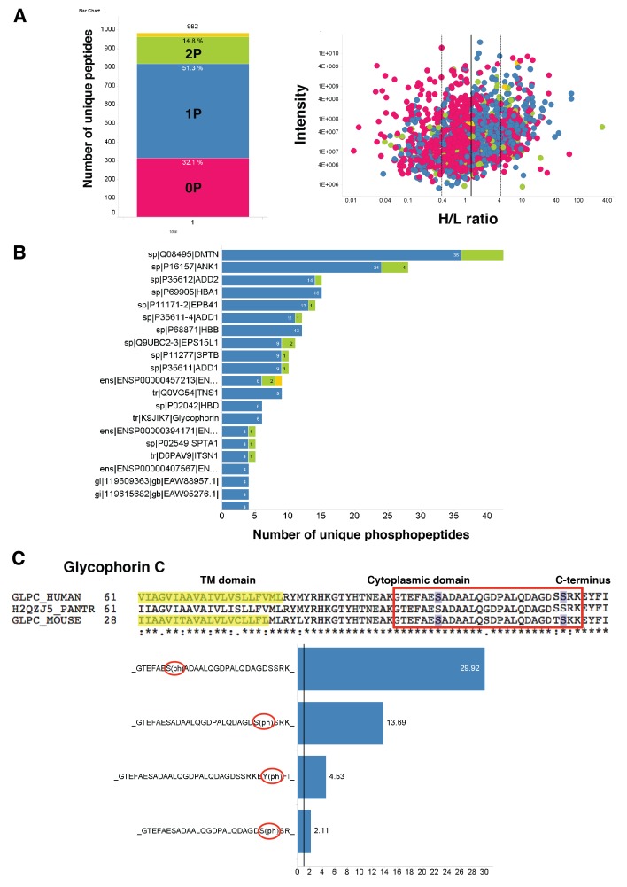 Figure 2—figure supplement 2.