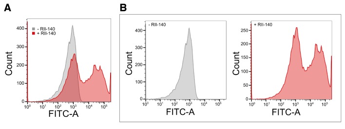 Figure 1—figure supplement 2.