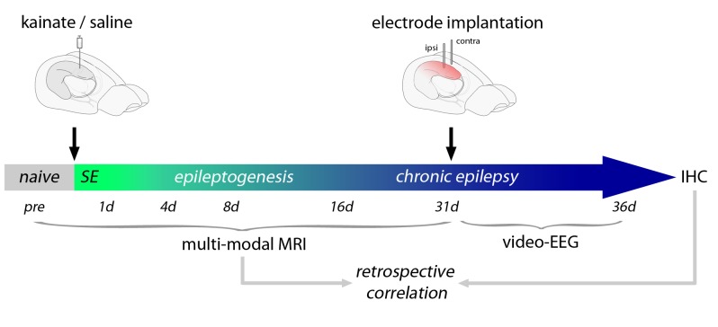 Figure 1—figure supplement 2.