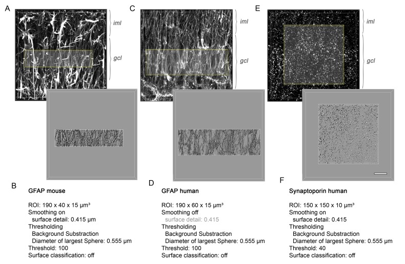 Figure 7—figure supplement 2.