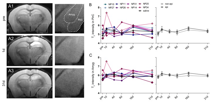 Figure 2—figure supplement 1.