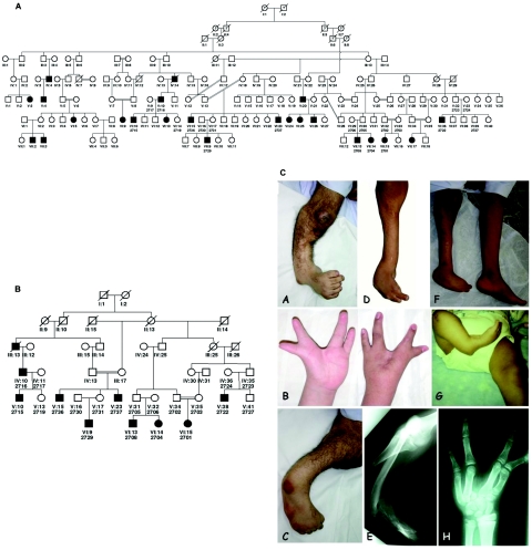 Figure  1. 