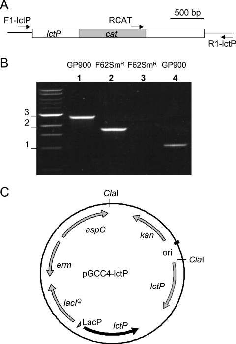 FIG. 1.