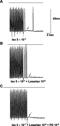 Fig. 5.