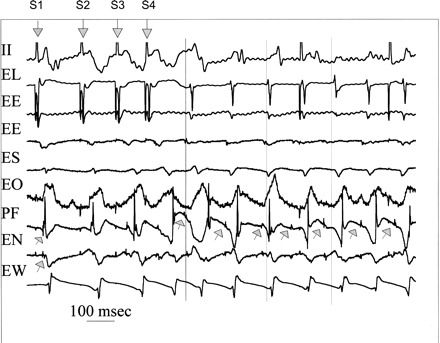 Fig. 1.