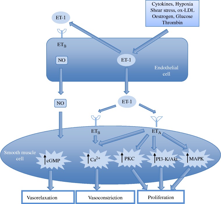 Figure 5.