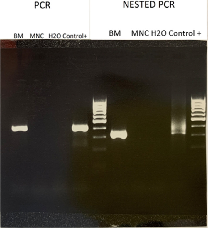 FIGURE 4