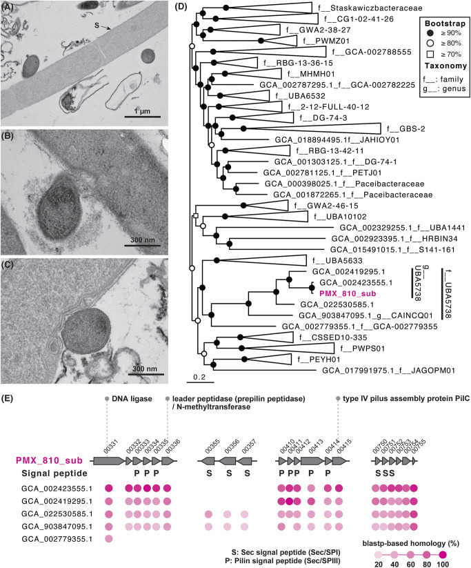 FIG 2