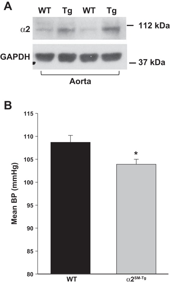 Fig. 5.