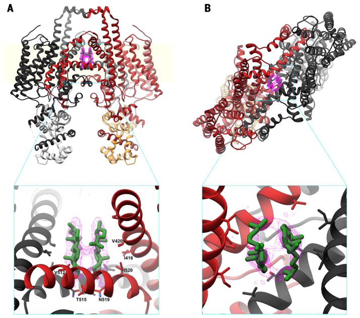 Fig. 4