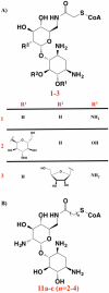 Figure 29