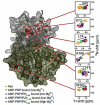 Figure 41