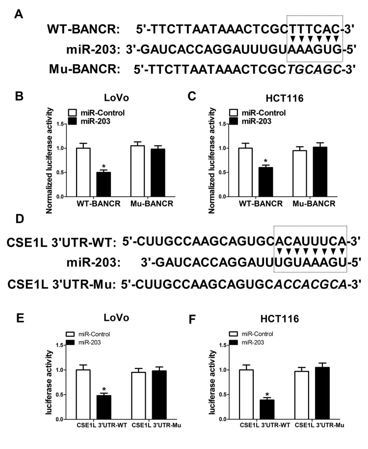 Figure 5A-F