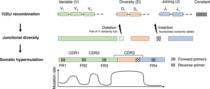 Figure 1: