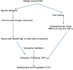 Flow Chart 3