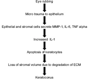 Flow Chart 2