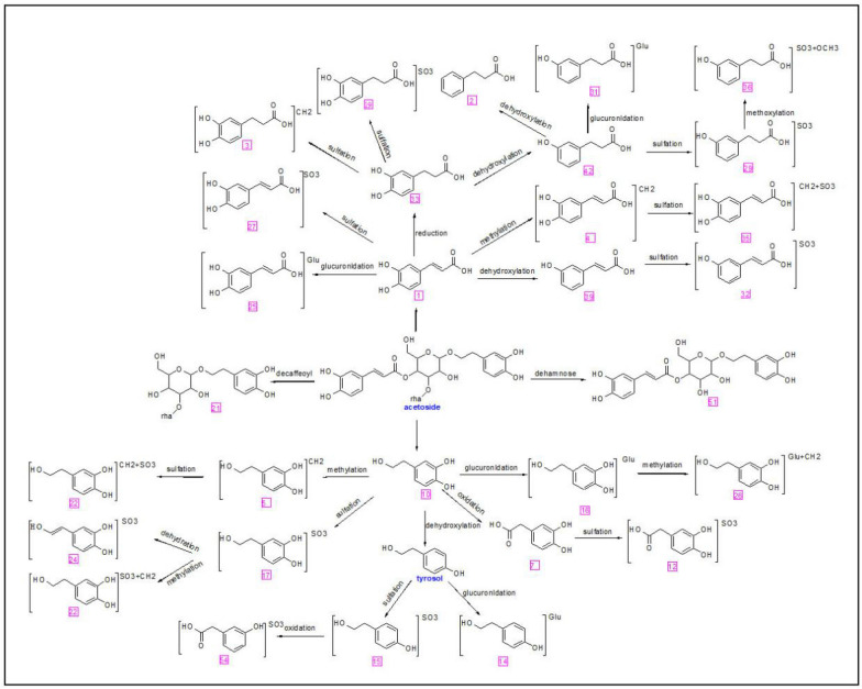 Fig. 13