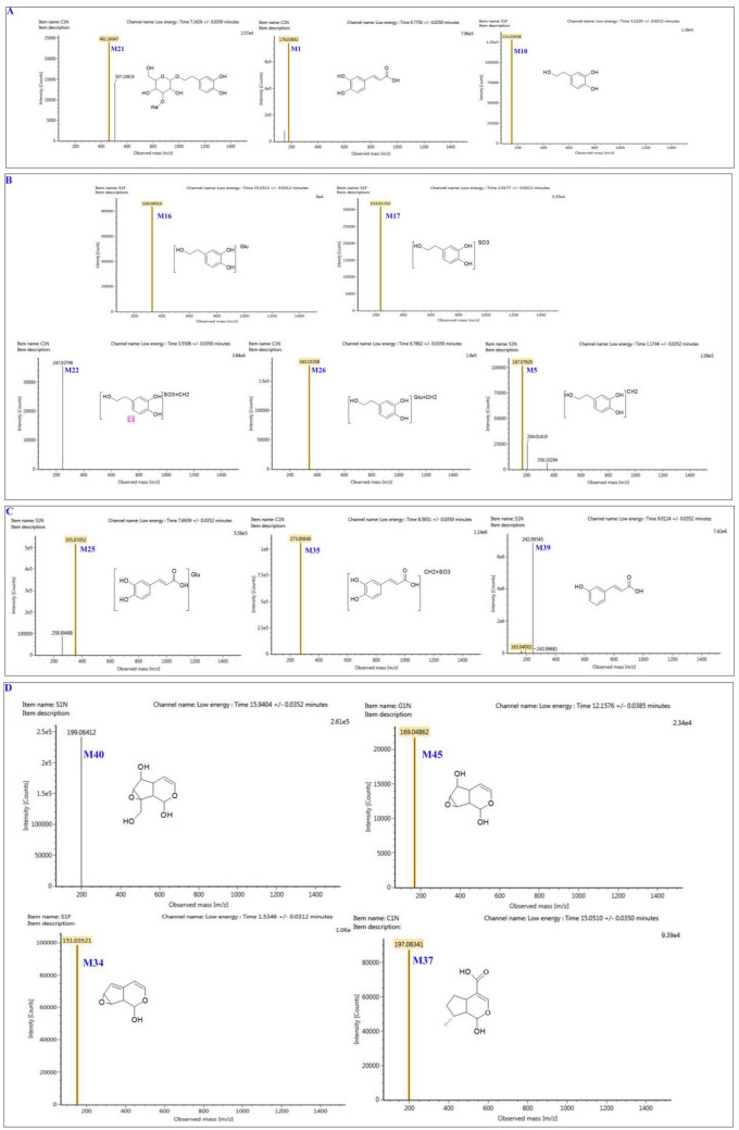 Fig. 12