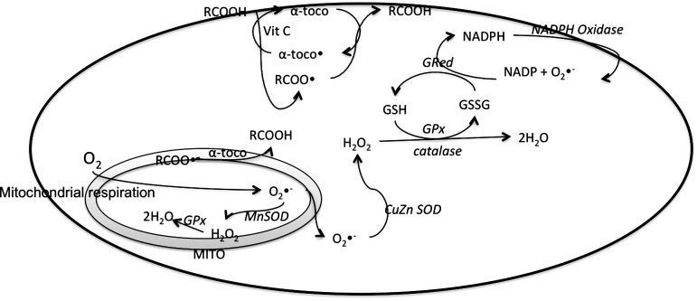 FIG. 4.