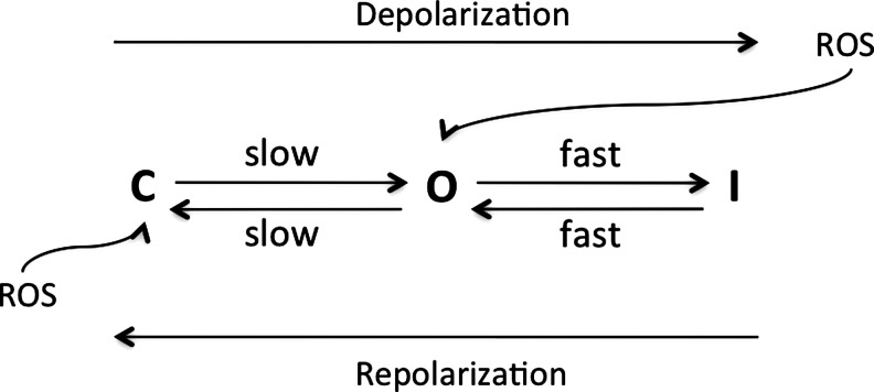 FIG. 11.