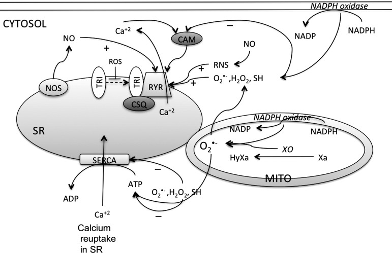 FIG. 8.