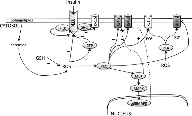 FIG. 10.