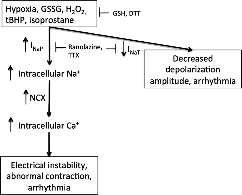 FIG. 16.