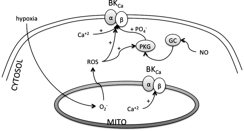 FIG. 12.