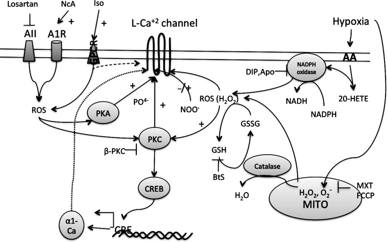 FIG. 7.