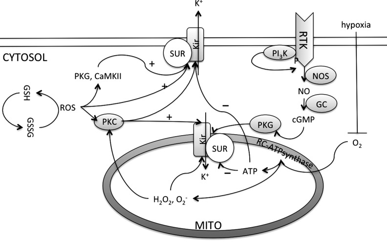 FIG. 13.