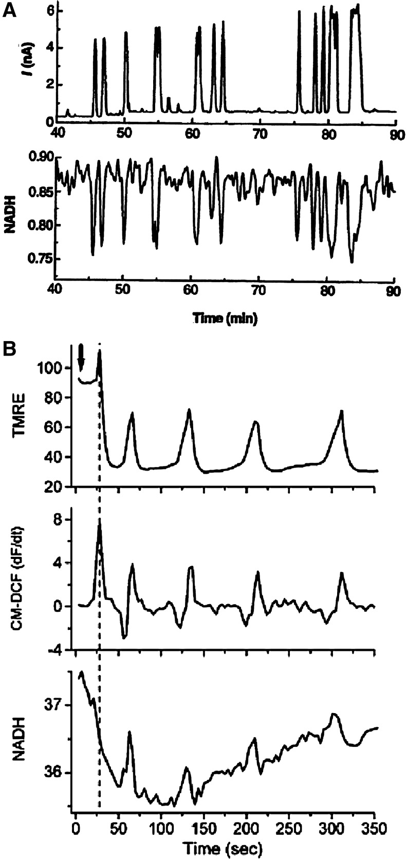 FIG. 14.