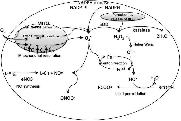 FIG. 2.