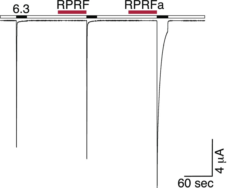 Fig. S6.